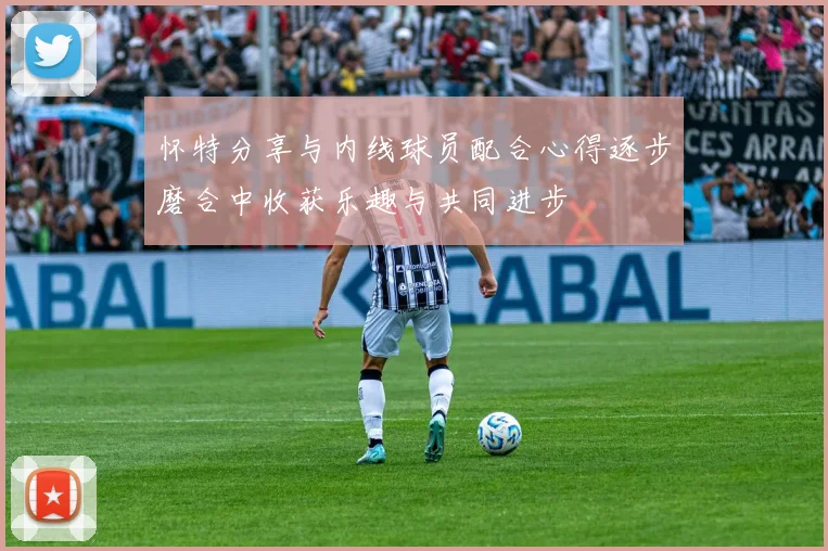 怀特分享与内线球员配合心得逐步磨合中收获乐趣与共同进步