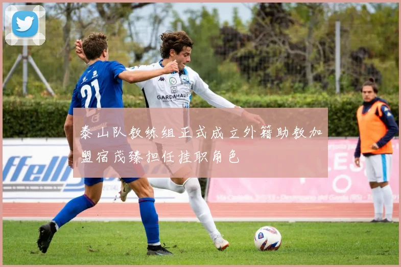 泰山队教练组正式成立外籍助教加盟宿茂臻担任挂职角色