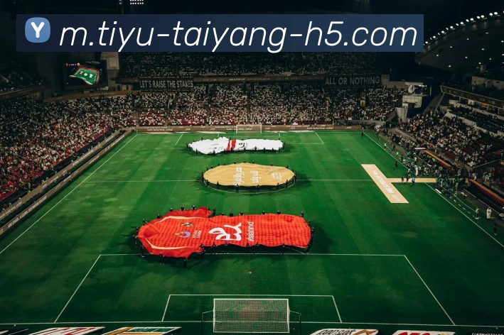 多媒体互动体验